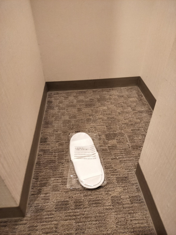 日本のホテルでは珍しく使い捨てスリッパがありＧＯＯＤ