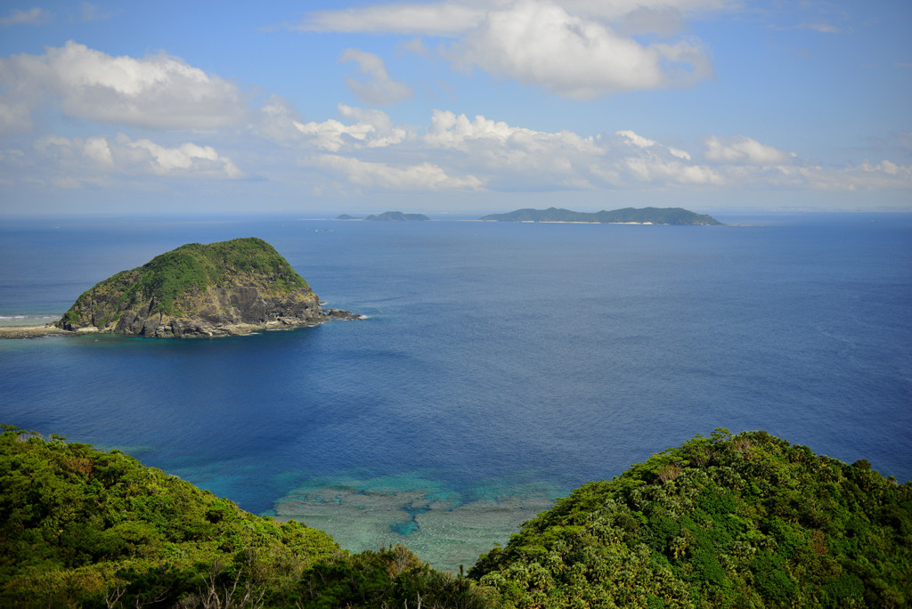 渡嘉敷島3016331