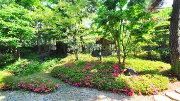 部屋からの景観 / 10