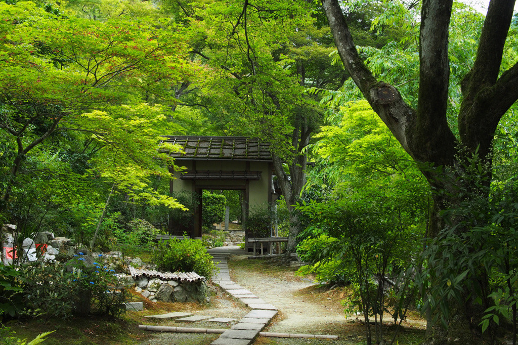 直指庵2374820