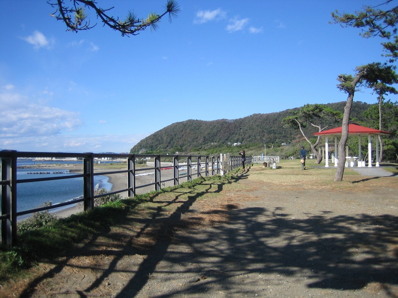 6. 「葉山公園」でのんびり海を眺めよう3139132