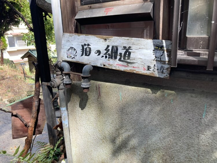 ma_yadologさんの写真 / 2