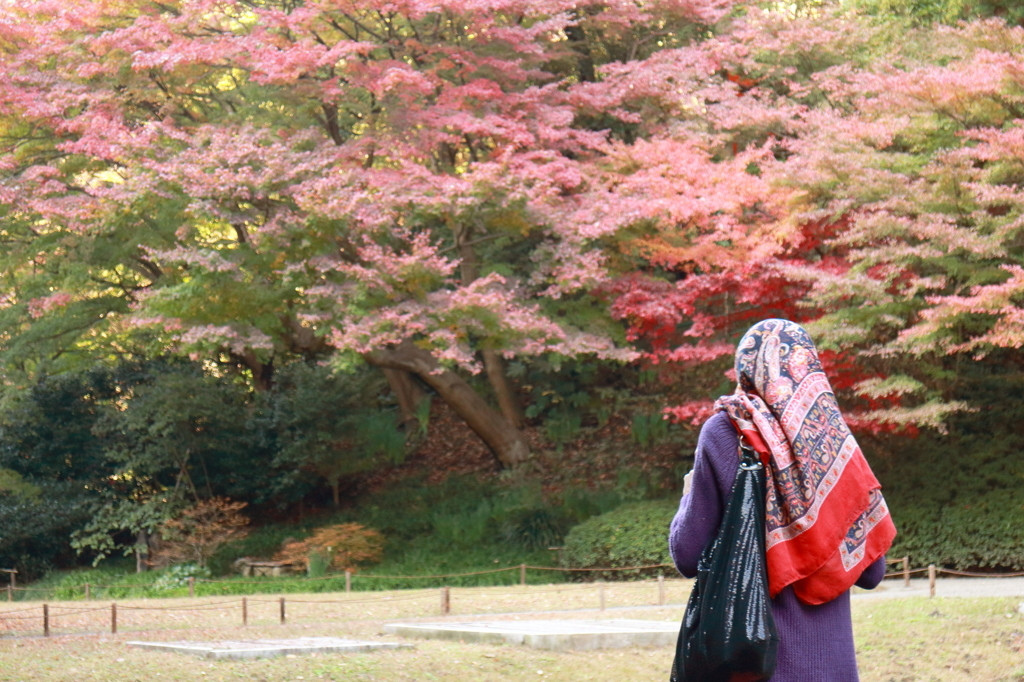 いかがでしたか？3704232