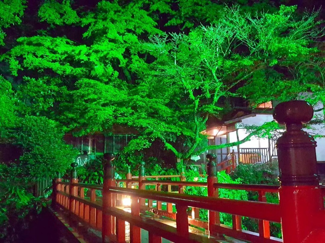 a_yht1oさんの写真 / 4