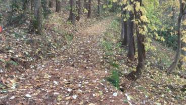 観光スポット / 9