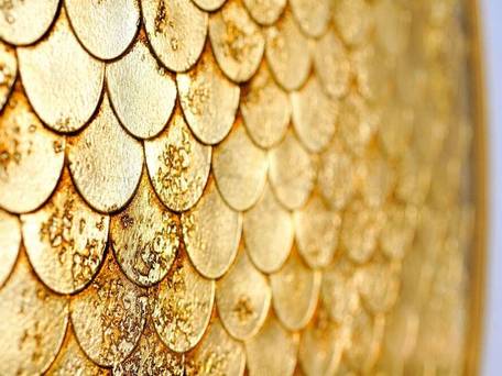 ニッコースタイル名古屋 / 2