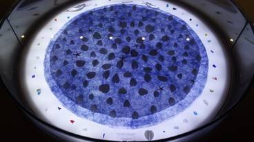 シェルミュージアム / 5