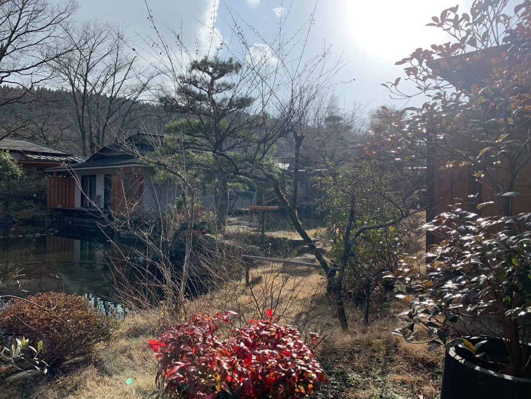 sawaimmatureさんの写真 / 1