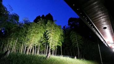 施設からの眺望 / 16