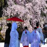 京都の強力な縁結びスポット「上賀茂神社」は厄除けも効果あり！