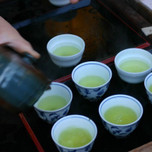 【三重】お茶好きさんへ♪三重県産100％の緑茶“伊勢茶”に挑戦しよう！