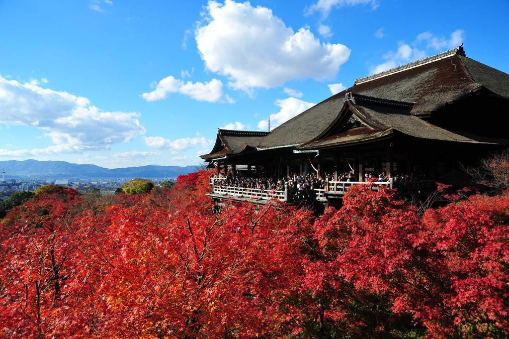 清水寺の紅葉と青い空