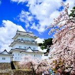 【2020年】初めての小田原観光!おすすめ観光スポットとポイントをご紹介♪