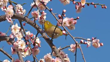 観光スポット / 10