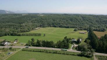 施設の敷地 / 12