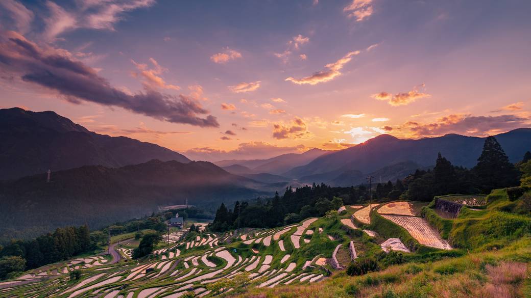 幻想的な丸山千枚田 / 1