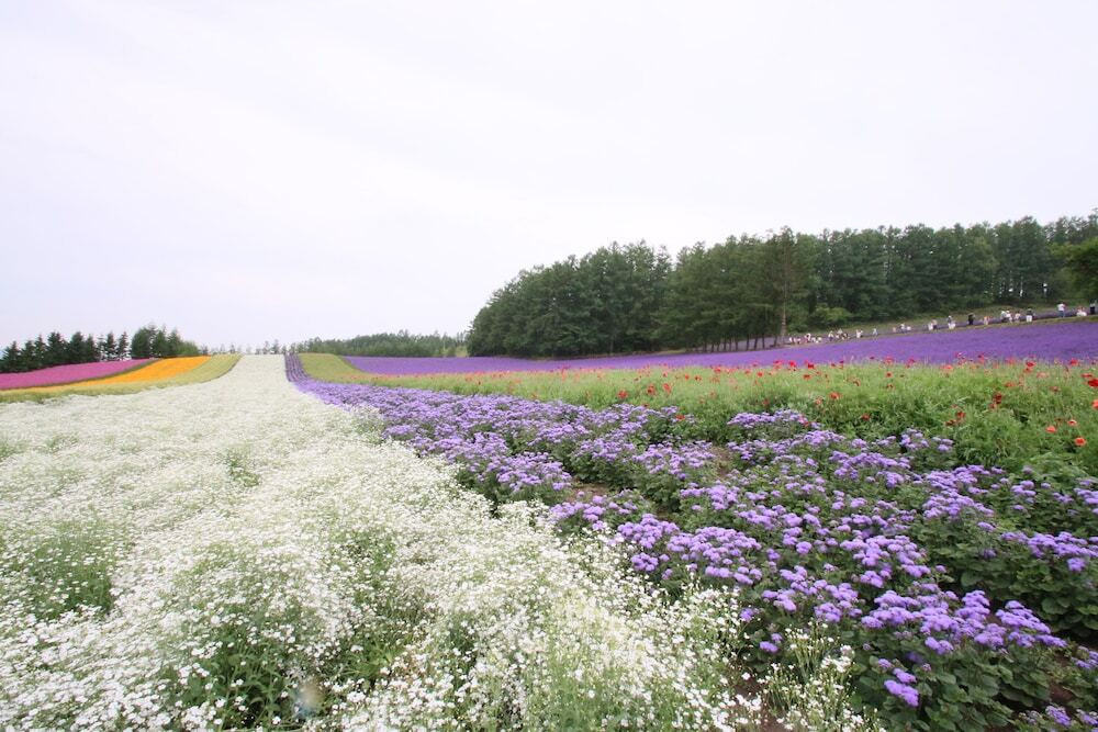 施設からの眺望