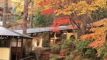 敷地内の自然③ / 22