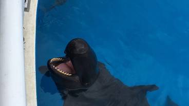 観光スポット / 3