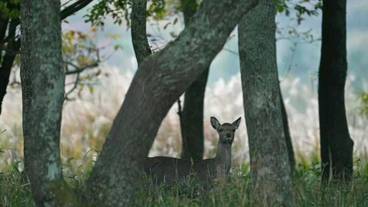 施設からの眺望 / 8