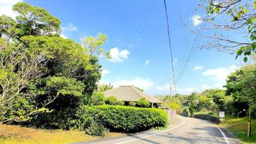 ストリート ビュー / 17