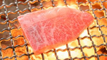 食事・飲み物 / 7