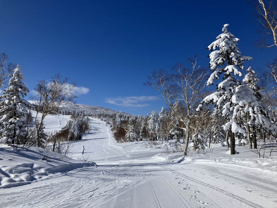 ホテルから30分の札幌国際スキー場。ふかふかのパウダースノー