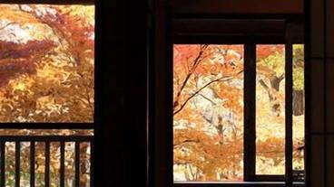 部屋からの景観 / 8