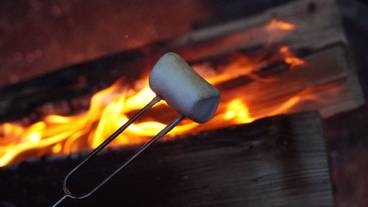 子供向けアクティビティ / 6