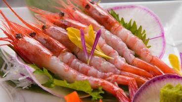 食事・飲み物 / 8