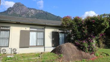 メイン イメージ / 1