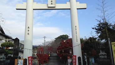 ランド ビュー / 7