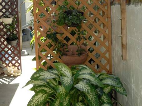 1日1組限定の宿 ゆくいる / 2