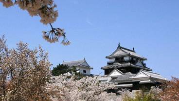 施設からの眺望 / 11