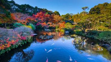 日本庭園(3) / 5