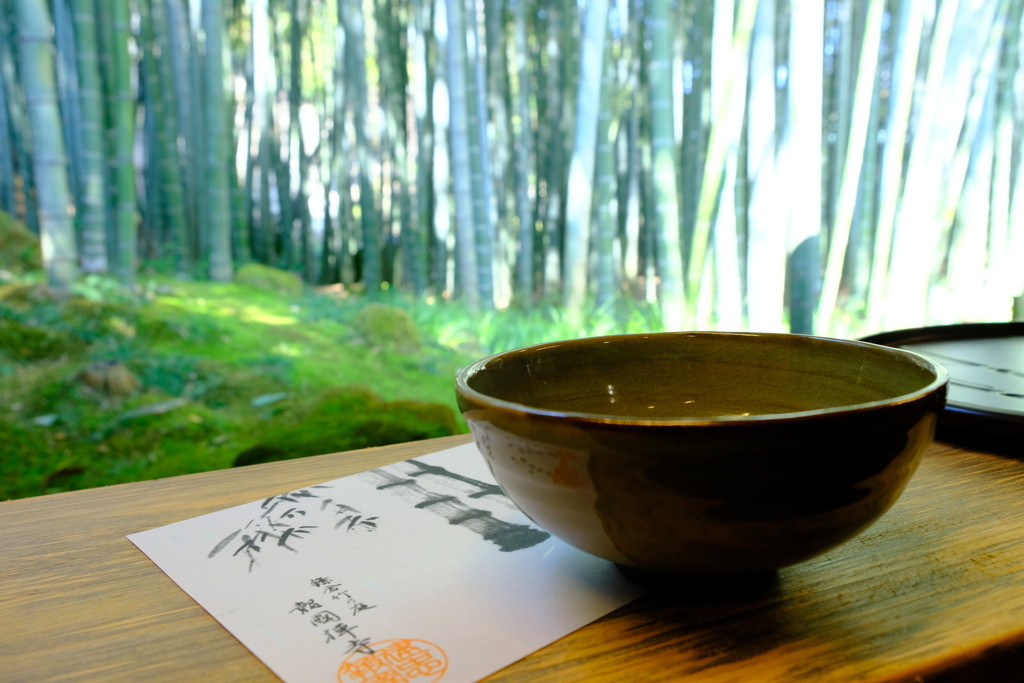 清々しい空気の竹林の中を、彼と一緒にお散歩しましょ♪2256611