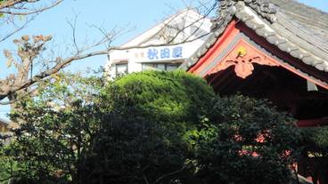 外観 / 3
