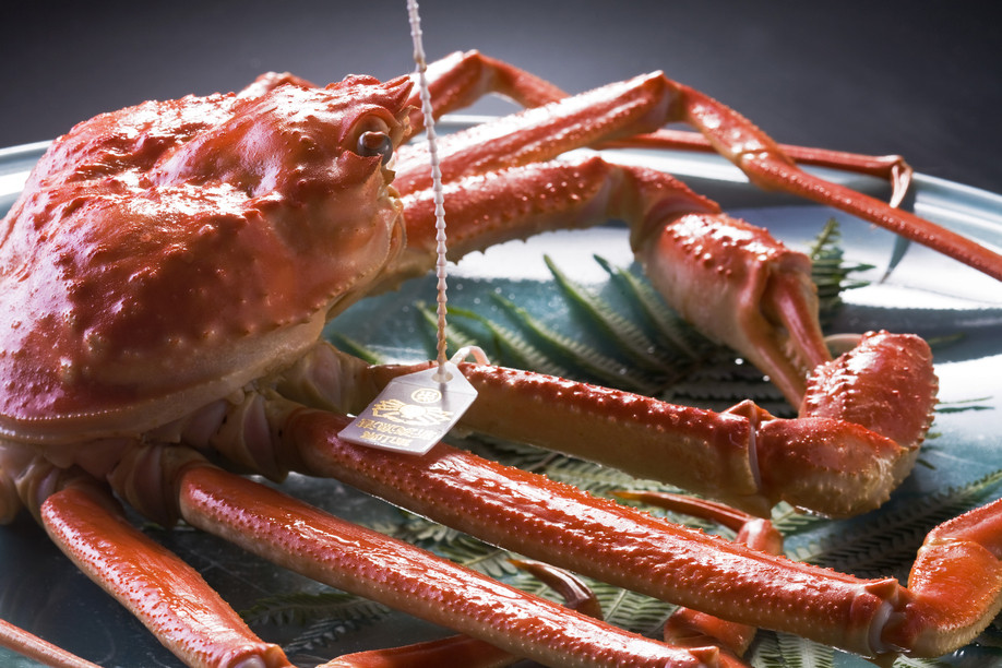 心地よい川のせせらぎに耳をすませて…四季折々の旬をいただける旅館3420133