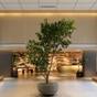 【楽天スーパーSALE】京都河原町駅すぐ♪観光・お買い物にぴったり♪♯＜朝食付＞  | GOOD NATURE HOTEL KYOTO