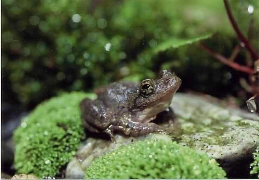 施設からの眺望