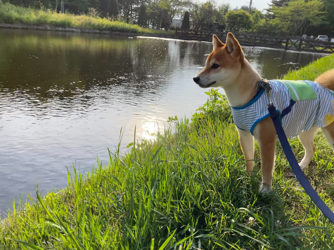 pinky.yuki_go.kam2さんの写真 / 2