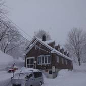 ゲストハウス ボンク(新潟県 ペンション) / 5