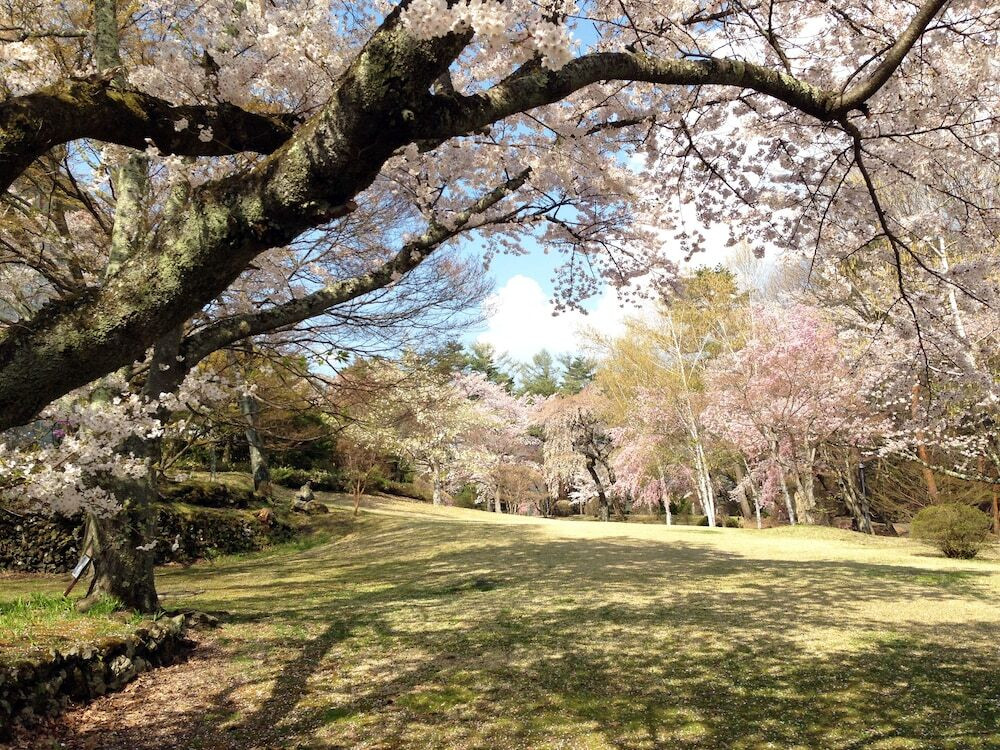 施設の敷地