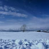 ホテル サンフラトン（北海道 ビジネスホテル） / 4