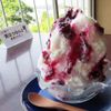 食べるべき奈良のかき氷♡地元っこおすすめの店6選