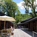 軽井沢で犬旅!人にもペットにも優しい「ハルニレテラス」6つの魅力