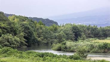 施設の敷地 / 17