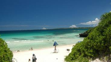 施設からの眺望 / 22