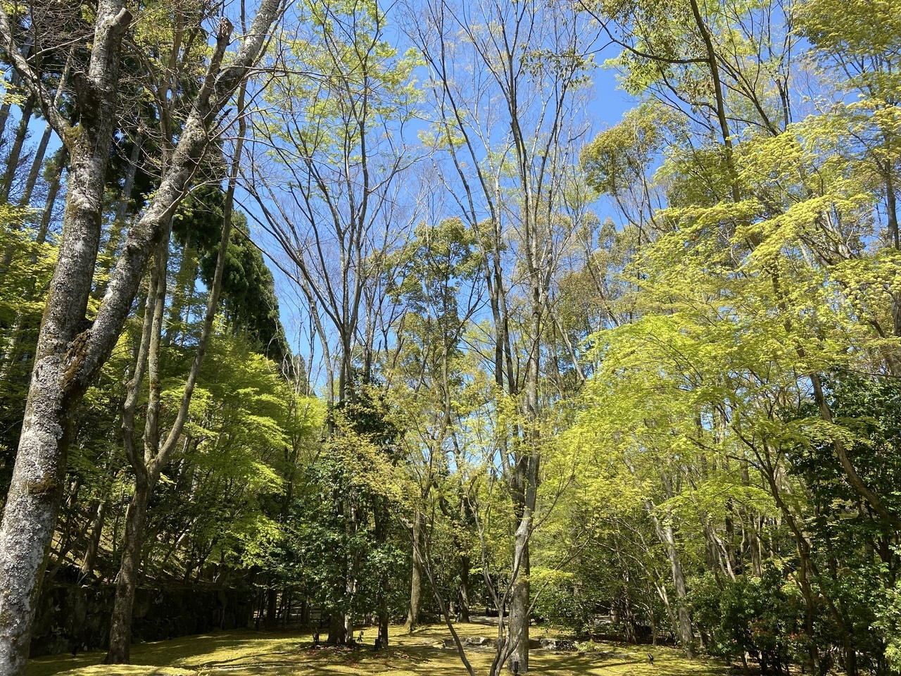 アマン京都3491837