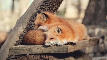 ハイキング / 10